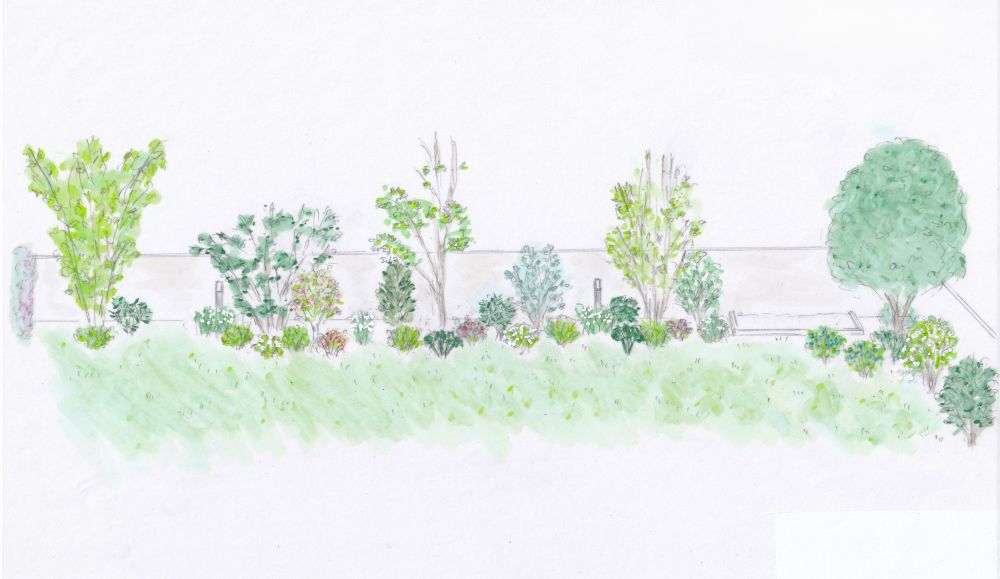 植栽プラン